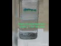 Paper Chromatography