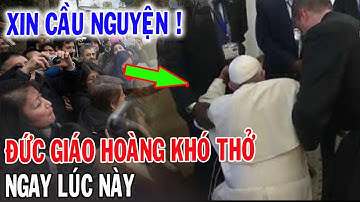 🔴Tin Mới! Xót Xa Tình Trạng Sức Khỏe Đức Giáo Hoàng Phanxicô - Xin Cầu Nguyện l Đinh Thập Tự Mới