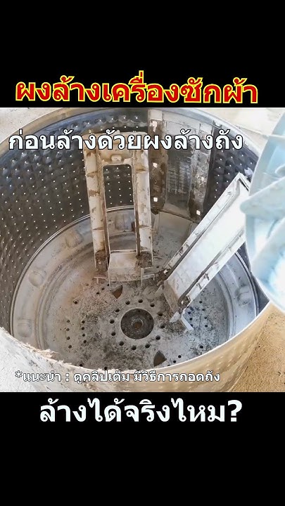 will-washing-machine-cleaning