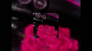 sch - bénéfice ( speed up )