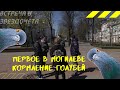 В Могилеве впервые прошло кормление голубей