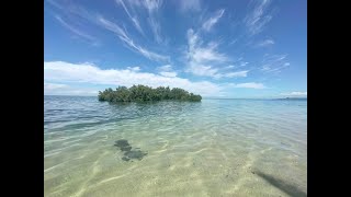 BEACH FRONT FOR SALE - QUEZON PROVINCE - PHILIPPINES