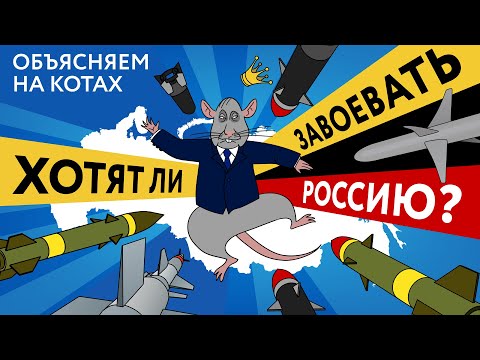 Хотят ли завоевать Россию: объясняю на котах | Коты Ходорковского