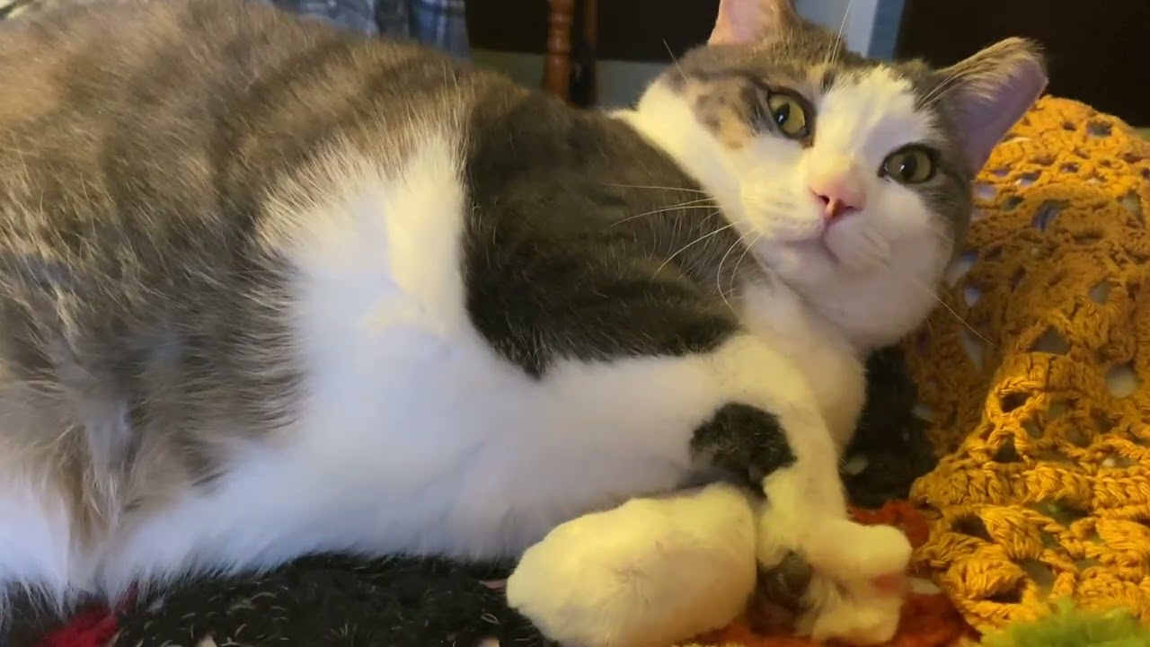 Kiryusha snagged his little claw.