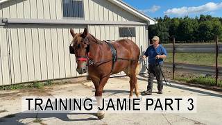 Ralph Rice Training Jamie Part 3