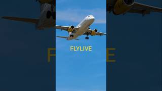 Airbus 320 vueling,low pass! BCN EL PRAT.