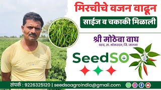 मिरचीचे वजन, साईज आणि चकाकी साठी फक्त 00:33:65 #seedsoagroindia #seedso