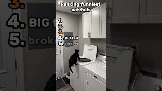 Ranking funniest cat fails #fyp #funny