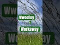 Biggest Differences Between Wwoofing And Workaway Wwoof Workaway Cheaptravel Biggest Differences Between Wwoofing And Workaway Wwoof Workaway Cheaptravel