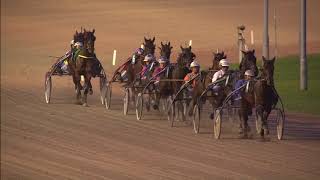 Vidéo de la course PMU PRIX GEMEENTE ZWARTEWATERLAND