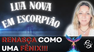 Lua Nova em Escorpião | TRIPLA CONJUNÇÃO e MUITAS QUEBRAS de PARADIGMAS | 20.11 a 19.12/25