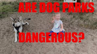 Are Dog Parks Dangerous? by Taming The Tamaskan 285 views 3 years ago 12 minutes, 4 seconds