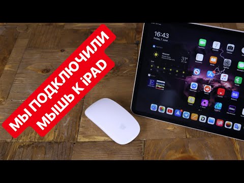 Как подключить к iPad мышку, внешний диск, карту памяти, клавиатуру и многое другое