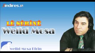 Welid Mosa Efrin Sherine