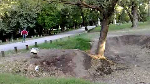 RODRY BMX!