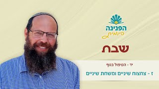 שבת יד, ז – צחצוח שיניים ומשחת שיניים | הפנינה היומית