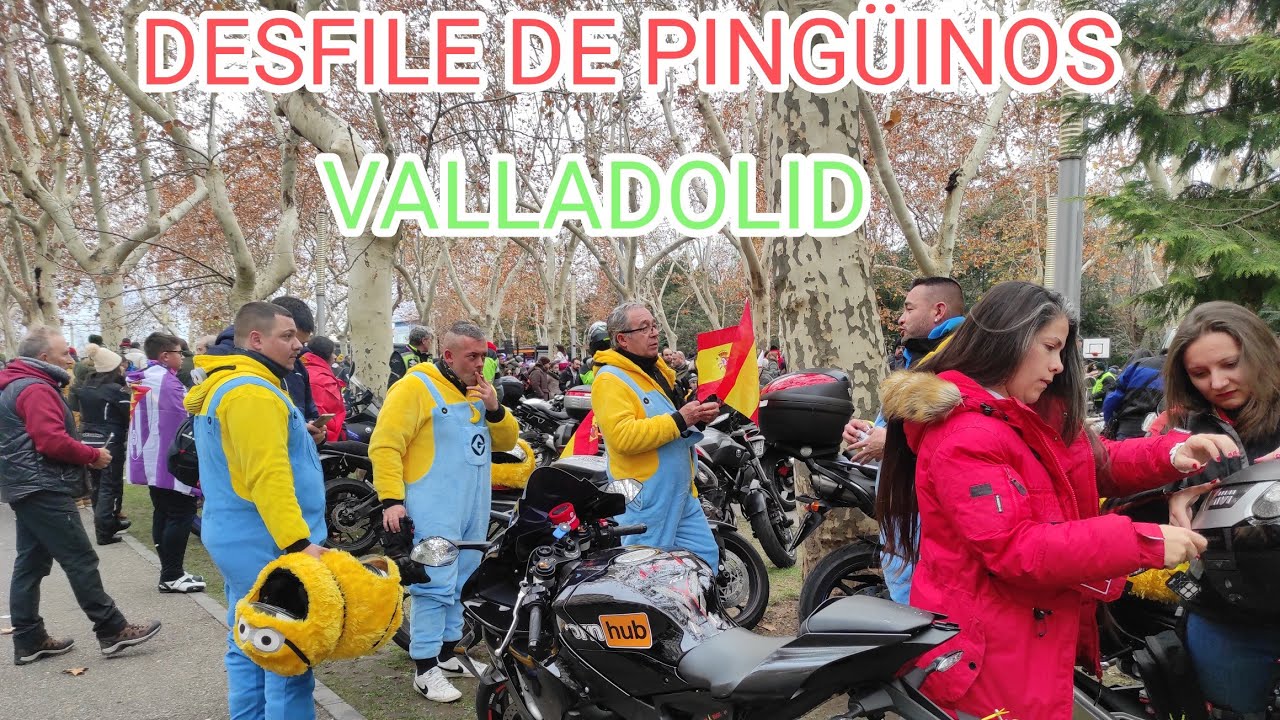 La concentración de los pingüinos ( 2024 ) en Valladolid | el desfile de pingüinos 2024