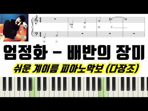 배반의 장미 (계이름 악보 포함) - 엄정화 
