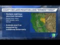 Lassen County declares mountain lions a public safety threat