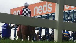 Horse Racing Continues During COVID-19 Pandemic