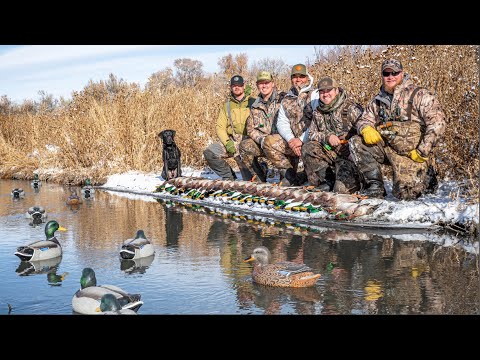 Timber Creek Outfitters Wyoming