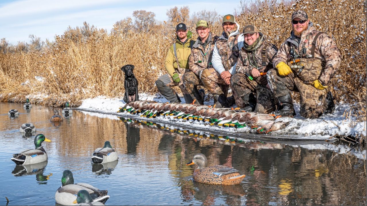 Dive Bomb Industries YouTube Channel Analytics and Report NoxInfluencer