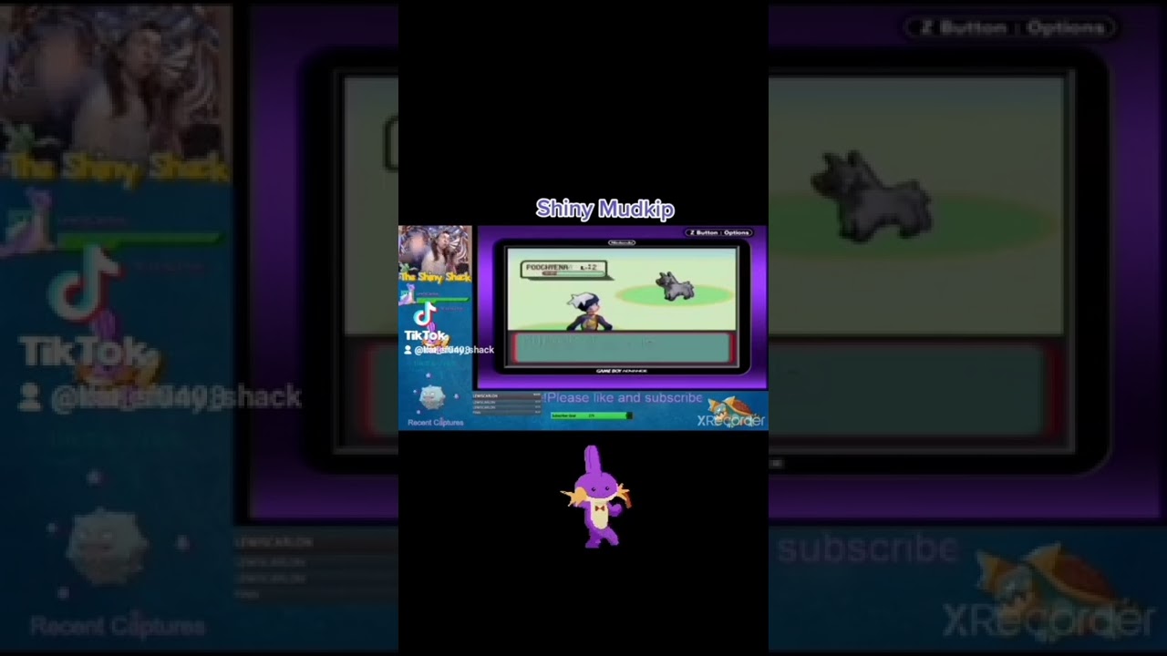 SHINY MUDKIP REACTION! 2705 Soft Resets Pokemon Sapphire!