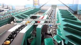 Automatic Onion Weight Grader Machine
