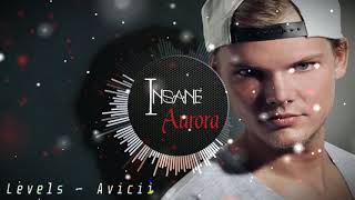 Avicii  Levels  Insane Version