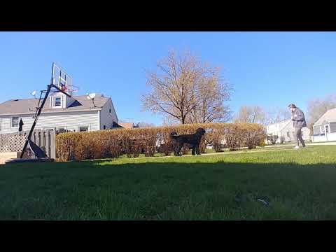 Some training recaps camera iphone 8 plus apk