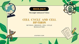 Cell Cycle & Cell Division Explained | Mitosis, Meiosis, Phases, Regulation | Class 11 Biology