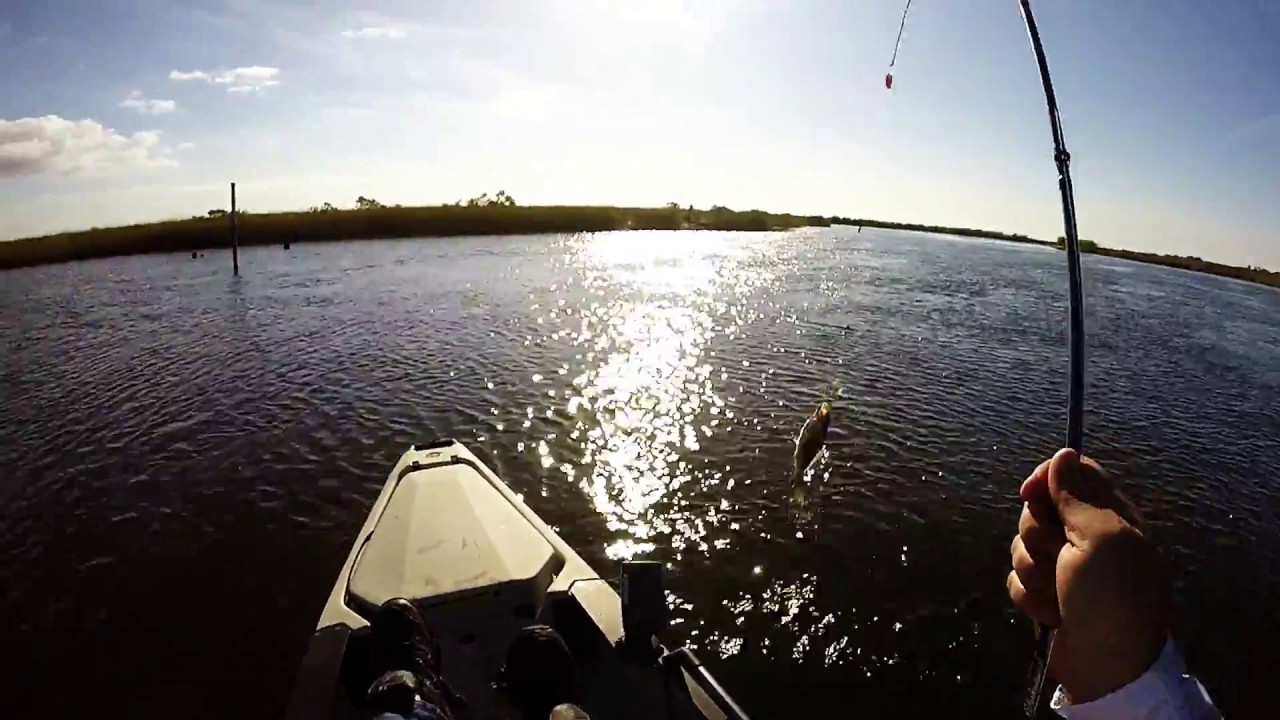 Shell Beach Speckled Trout