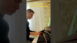 Naruto Shippuden Opening 3 Blue Bird