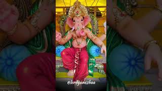 Deva Tuch Pathirakha  ganpatibappamorya ganpati ganeshchaturthi ganesh ytshorts shorts