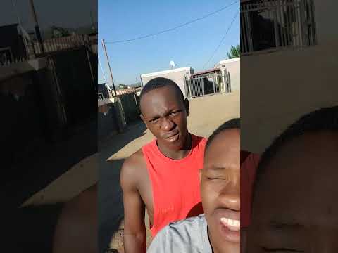 موجة قطة مونا 