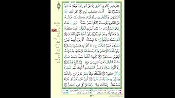 الصفحة ٢٢٢ من القرآن الكريم...القارئ د.بريك سعد بريك
