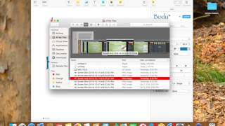 How To Change The Selection Color On Mac Hd