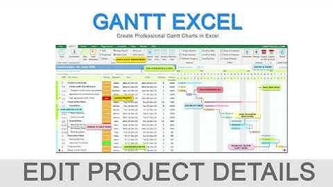 Edit Project Details in Gantt Excel