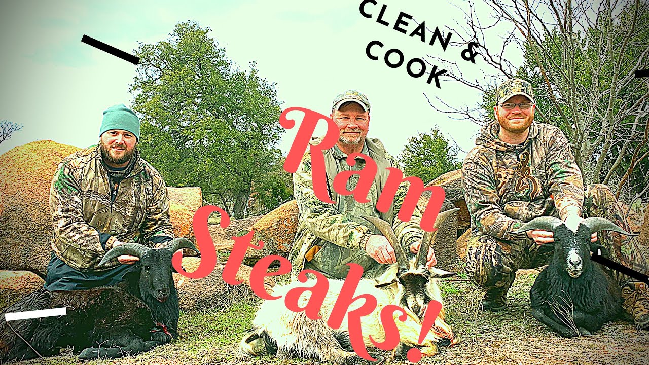 CLEAN AND COOK! - Black Hawaiian Ram I Harvested in TEXAS - YouTube