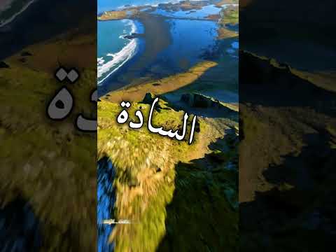احنا شيوخ وولاد شيوخ