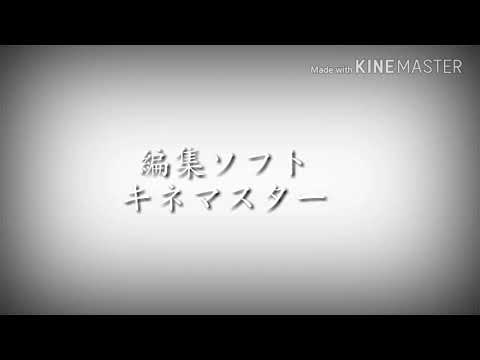 【東方PV】命に嫌われている