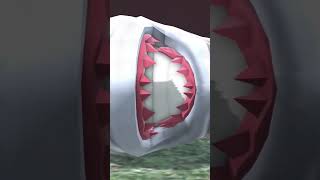 The Shark Attack That Inspired 60 Years Of Fear