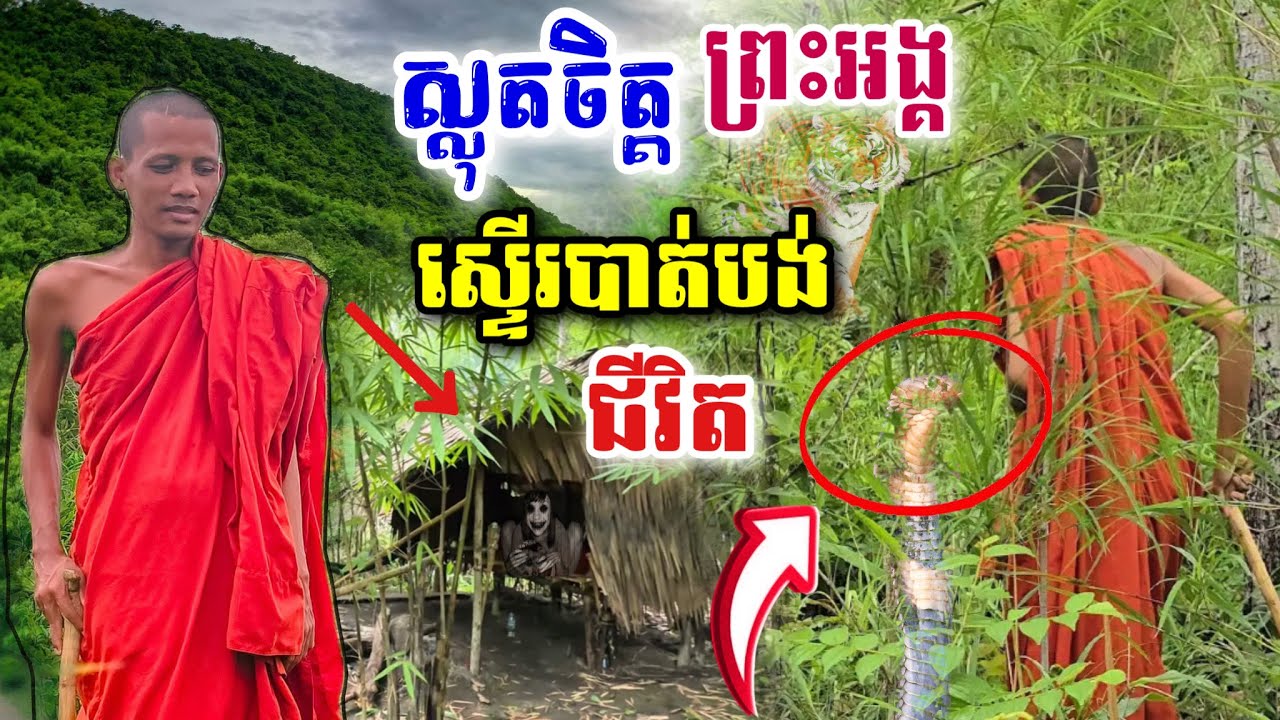 ព្រះអង្គធ្លាប់ស្ទើរផុតជីវិតបាត់ទៅហើយ នៅក្នុងព្រៃភ្នំជ្រៅ - ព្រះអង្គចន្ទ មុនី