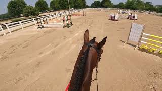 Training level show jumping at Silverwood - June 2023￼