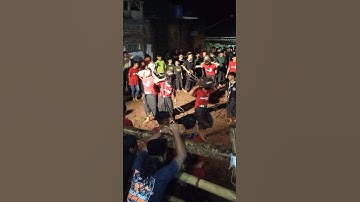 BANTENG BOLO DEWO - #shorts #subscribe #jaranan #bantengan #clips #javanese #culture.