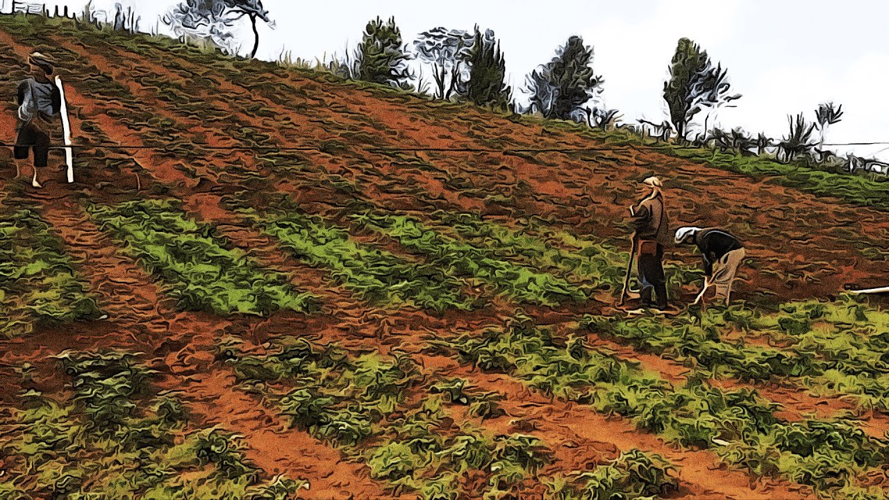 Jingrwai Nongrep / Kjat Sngi ki Khie Thiah (Lyric Video) (Khasi Song)