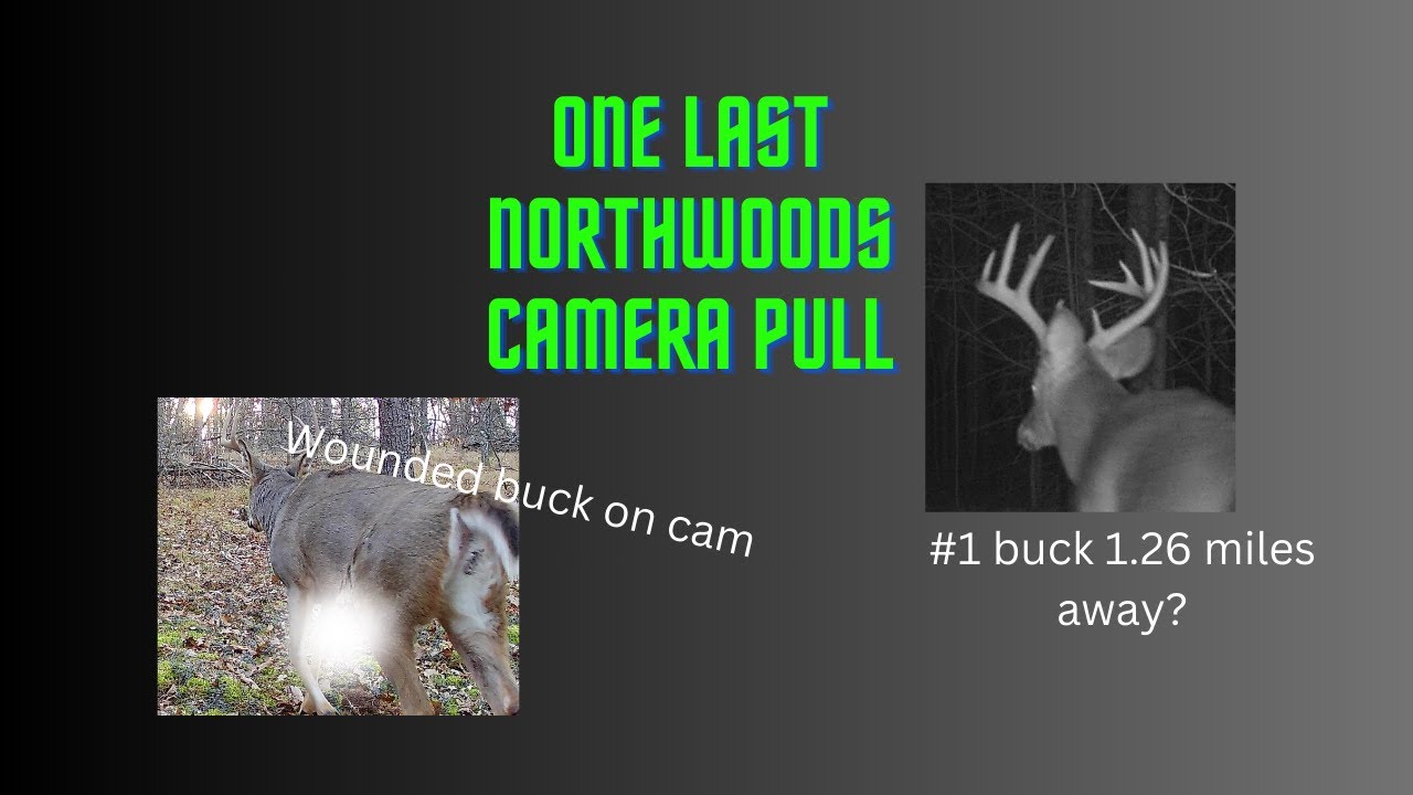 Last Northwoods scout and hang and hunt before Wisconsin gun season