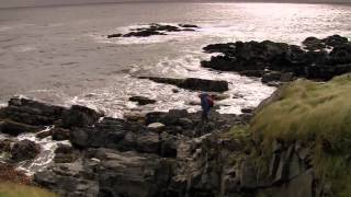 David Attenborough's First Life: Episode 2- "Conquest"