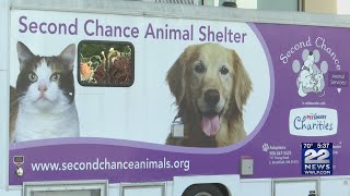Gary Rome Hyundai hosts pet vaccine clinic with Second Chance Animal Services