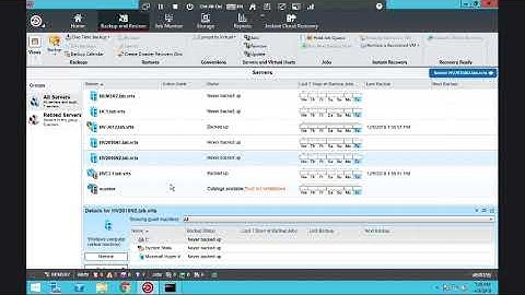 VMware Backup - Português
